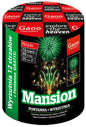 Gaoo Mansion