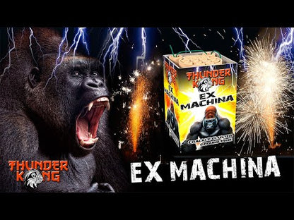 Lesli Ex Machina