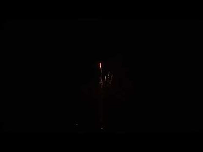 El Gato Terremoto 36sec