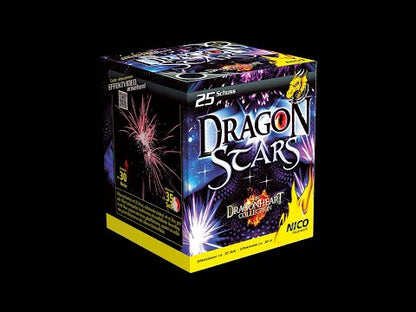 Nico Dragon Stars