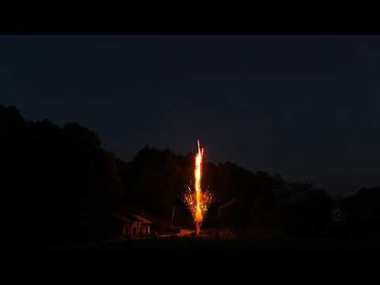 El Gato Terremoto 1 S