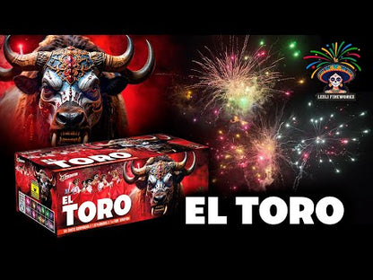 Lesli El Toro Verbund