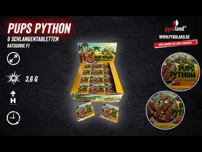Pyroland Pups Python 6er Schachtel