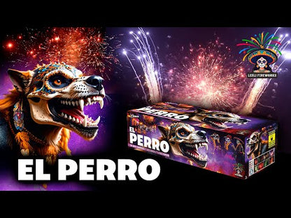 Lesli El Perro Verbund