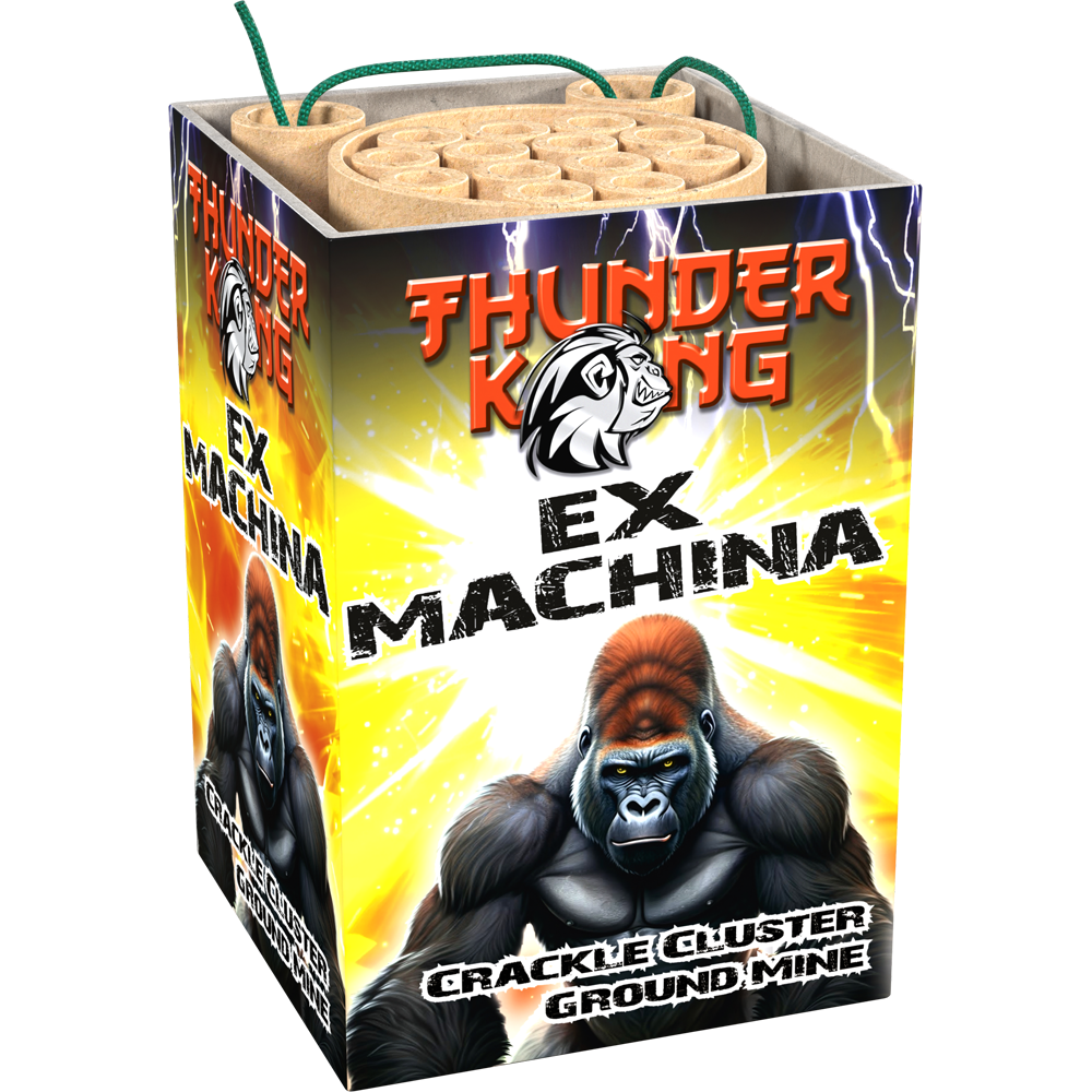 Lesli Ex Machina