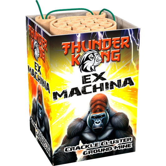 Lesli Ex Machina